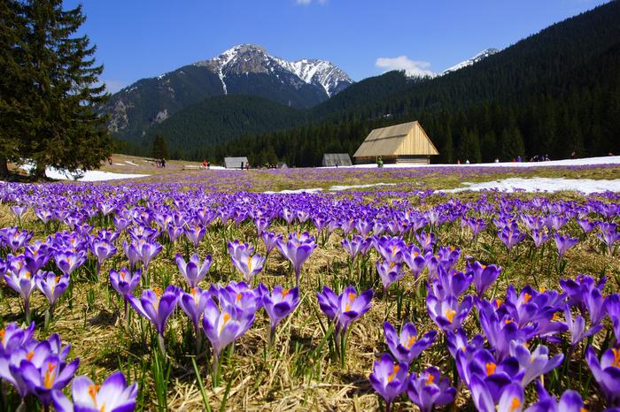 Szlak trekkingowy w Tatrach – panorama gór